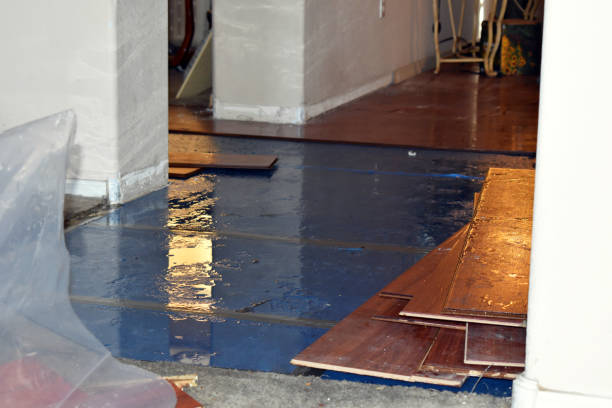 Professional Water Damage Restoration technician working in Bloomingrose, WV